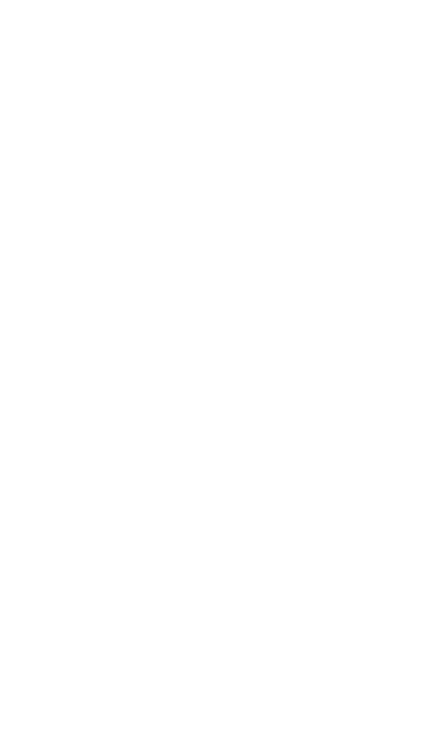 Illume Digital Studio Logo